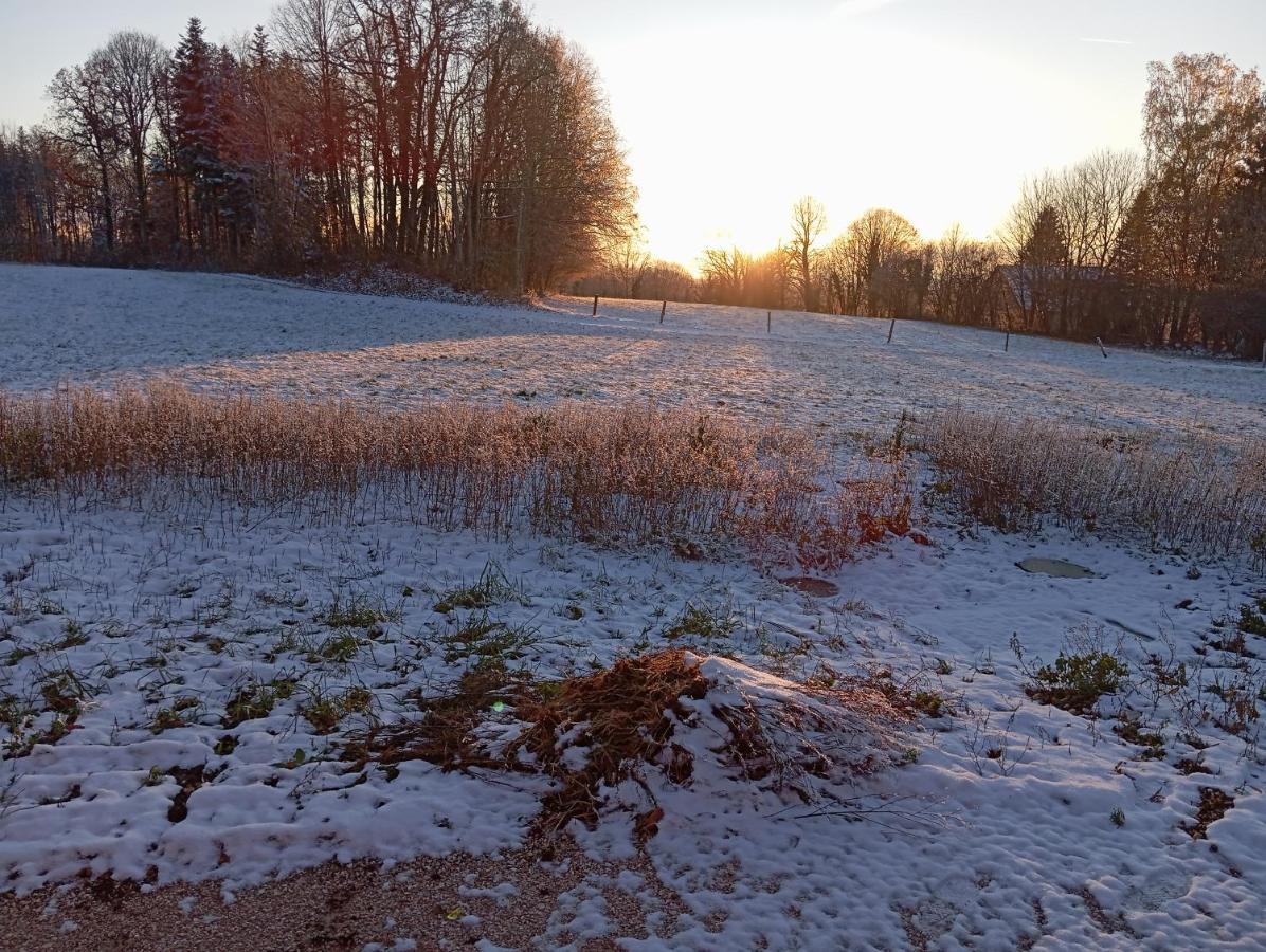 La P'Tite Maison Bois Du Herisson Menetrux-en-Joux Esterno foto